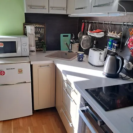 아파트 Homely And Comfortable Near The Center! 타르투